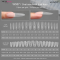 W557 Sandwich Nail Extensions-Dual Forms
