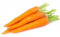 Carrot แครอท