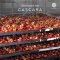 Coffee Cherry Tea ออร์แกนิค 100% ชาจากเนื้อผลกาแฟเชอร์รี่ (Cascara) ขนาด 300 g