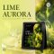 เมล็ดกาแฟ Moon Series Special Coffee เมล็ดกาแฟอาราบิก้า กาแฟรสชาติพิเศษ Lime Aurora 150g