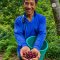 Organic Mae Salong Arabica coffee Chiang Rai เมล็ดกาแฟคั่วอราบิก้า 100% แม่สลอง จ.เชียงราย Single Origin ขนาด 250 g
