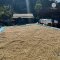 Organic Mae Salong Arabica coffee Chiang Rai เมล็ดกาแฟคั่วอราบิก้า 100% แม่สลอง จ.เชียงราย Single Origin ขนาด 250 g