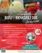 คอร์สเรียน ความรู้พื้นฐานเกี่ยวกับการทำบิงซู (BSU : BINGSU 101)  สถานที่: เชียงใหม่