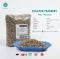 เมล็ดกาแฟสาร DULAPUR PEABERRY พร้อมคั่วทันที ( ดูลาเปอร์ พีเบอร์รี่ ) Arabica Grade A คัดมือพิเศษ : 1 Kg.
