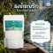 ผงมะพร้าวน้ำหอม Coconut Juice Water Instant Powder ผงผลไม้ ผงผัก ขนาด 200 กรัม