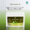 ผงต้นข้าวบาร์เลย์ 100% Barley Grass Powder ผงผลไม้ ผงผัก เพื่อสุขภาพ ขนาด 100 กรัม