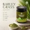 ผงต้นข้าวบาร์เลย์ 100% Barley Grass Powder ผงผลไม้ ผงผัก เพื่อสุขภาพ ขนาด 100 กรัม