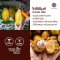 คาเคานิบส์ Cacao Nibs โกโก้นิบส์ คาเคานิบ พร้อมรับประทาน โกโก้แท้ น้ำตาล 0% ขนาด 110 กรัม