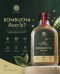 Kombucha คอมบูชะ 180 ml ชาหมักจากธรรมชาติ คอมบูชา