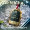 Kombucha คอมบูชะ 180 ml ชาหมักจากธรรมชาติ