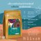 Hillkoff : Ethiopia Arabica Specialty Roasted Wet Process (กาแฟพิเศษ จากประเทศเอธิโอเปีย)  ขนาด 200 กรัม