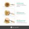 Bamboo Fiber Brush แปรงทำความสะอาดหัวชงกาแฟ จากไม้ไผ่แท้