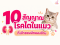 10 สัญญาณโรคไตในแมวที่เจ้าของมักมองข้าม