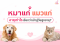 หมาแก่ แมวแก่ อายุเท่าไรเรียกว่าเข้าสู่วัยสูงอายุ?