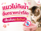 When Your Cat Won't Drink Water: Hidden Dangers and Health Risks