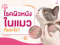 โรคผิวหนังในแมว คืออะไร?