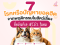 โรคที่เกิดจากพฤติกรรมในน้องหมาและน้องแมว ที่คล้ายโรค NCDs ในคน