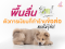 พื้นลื่น... ภัยเงียบที่อาจทำให้หมาแมวมีปัญหากระดูกและข้อโดยไม่รู้ตัว