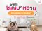 อาการโรคเบาหวานในน้องหมาน้องแมว ที่ผู้ปกครองควรรู้
