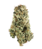 Sweet Kush