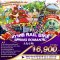 ทัวร์เกาหลี : เกาหลี RAIL BIKE SPRING ROMANTIC 5 วัน 3 คืน (OZ)