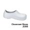 Cleanroom Shoes รุ่น JS106