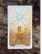 Oak, Ash & Thorn Tarot (Volumn 1.1)