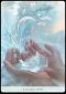 OCEAN DREAMS ORACLE