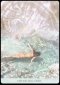 OCEAN DREAMS ORACLE