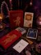 BOHEMIAN CATS THEATRE TAROT