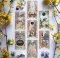 The Forager's Daughter Tarot Deck