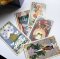 The Forager's Daughter Tarot Deck