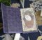 The Forager's Daughter Tarot Deck