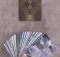 THE MOONCHILD TAROT
