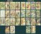 The Victorian Faery Tarot Deck