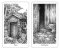THE WINDING TAROT