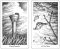 THE WINDING TAROT