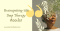 Brainspotting Therapy Thailand: Deep Trauma Healing & Nervous System Regulation | Better Mind  