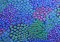 Kaffe Fassett Collective Persian Garden Blue