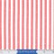 Northcott Under The Big Top Big Top Stripe Red and Cream