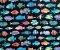 Robert Kaufman Fabrics Coral Canyon Tropical Fish Black