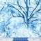 Timeless Treasures Fabrics Winter Hike Icy Winter Treescape Blue Blitter