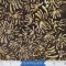 Windham Batik Fabrics  Brown