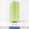 Wonderfil Threads Konfetti Melon