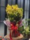 ต้นโกศลแผ่นดินทอง  (Codiaeum variegatum)