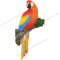 Macaw