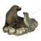 Seal