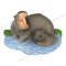 Hippopotamus