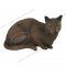 Supalak (Siamese Cat)