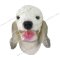 Bedlington Terrier